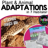 Habitat and Adaptation Activities (Plant, Animal, Human)