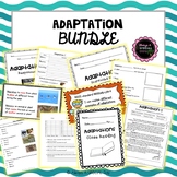 Adaptation Bundle
