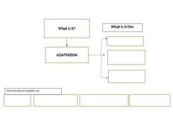Preview of Adaptation Graphic Organizer