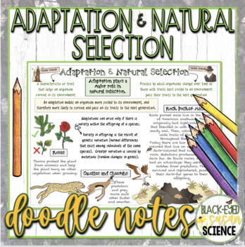 Preview of Adaptation & Natural Selection Doodle Notes & Quiz