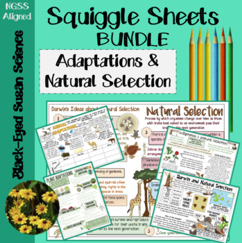 Preview of Adaptation & Natural Selection Squiggle Sheets (Notes) & Quiz & PP Bundle