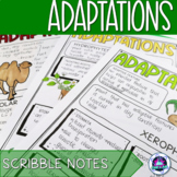 Adaptation Scribble Notes