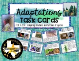 Adaptations Task Cards