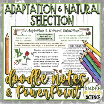 Preview of Adaptation and Natural Selection Doodle Notes & Quiz + PowerPoint