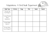 Adaptations: Bird Beak Experiments (structures and functions)