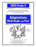 Adaptations: Bird Beaks and Feet