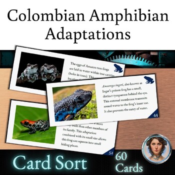 Preview of Adaptations Card Sort Activity - Amphibians of Colombia