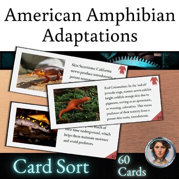 Preview of Adaptations Card Sort Activity - Amphibians of the USA