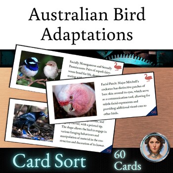 Preview of Adaptations Card Sort Activity - Australian Birds