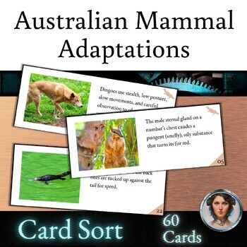 Preview of Adaptations Card Sort Activity - Australian Mammals