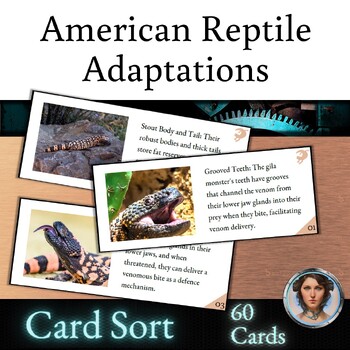 Preview of Adaptations Card Sort Activity - Reptiles of the USA