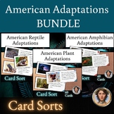 Adaptations Card Sort BUNDLE | American Plant and Animal A