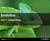 PPT - Evolution: Adaptations, Darwin, and Natural Selection