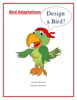Preview of Adaptations:  Design a Bird