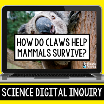 Preview of Animal Adaptations Digital Inquiry Resource | Mammal Claws | 4th Grade 5th Grade