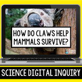 Animal Adaptations Digital Inquiry Resource | Mammal Claws