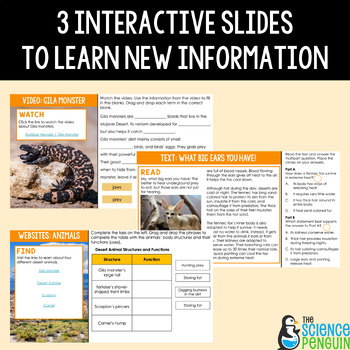 Desert Animal Adaptations Digital Inquiry | Structures and Functions