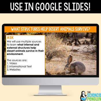 Desert Animal Adaptations Digital Inquiry | Structures and Functions