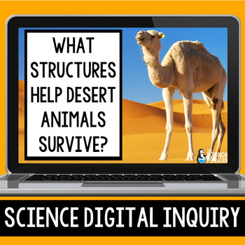 Preview of Desert Animals Adaptations Digital Inquiry Resource | Structures and Functions