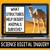 Desert Animals Adaptations Digital Inquiry Resource | Stru
