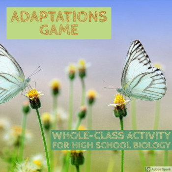 Preview of Adaptations Game