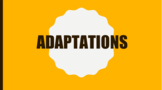 Adaptations Google Slide Presentation