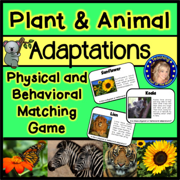 Preview of Adaptations Match Game - Physical and Behavioral Adaptations