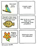 Adaptations Matching Game by Science Doodles