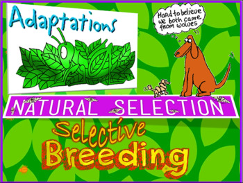 Preview of Adaptations, Natural Selection, Selective Breeding