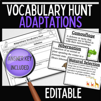 Preview of Adaptations Natural Selection Word Wall Vocabulary Game