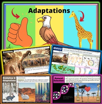 Preview of AP Environmental Science Adaptations PowerPoint & FREE Guided Notes