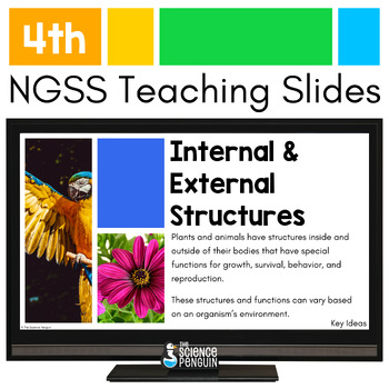 Preview of Plant & Animal Adaptations Teaching Slides | 4th Grade NGSS Internal & External