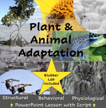 Preview of Adaptations Powerpoint with Script and Lab