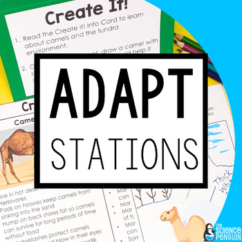 Preview of Adaptations Science Stations | Animals & Plants Structures | 4th Grade TEKS NGSS