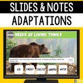 Adaptations Slides & Notes Worksheet | 4th Grade | Physica