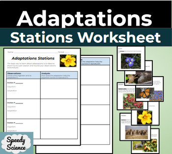 Plant And Animal Adaptation Worksheets Teaching Resources | TPT