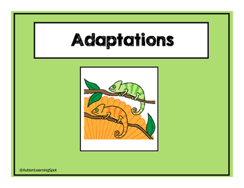 Preview of Adaptations Story and Worksheets