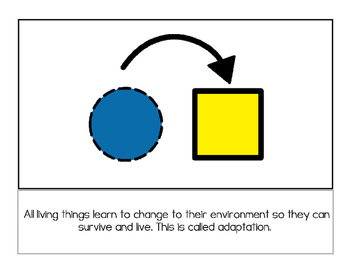 Adaptations Story and Worksheets by AutismLearningSpot | TpT