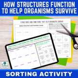 Structures and Functions - Plant and Animal Adaptations So