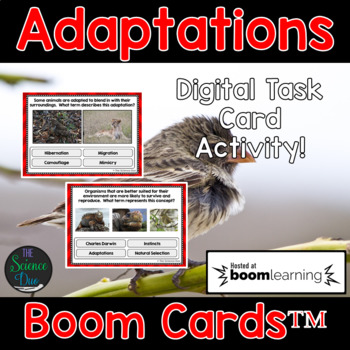 Preview of Adaptations Task Cards - Distance Learning Compatible Digital Boom Cards™