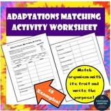 Adaptations Worksheet Matching Activity GREAT FOR SUB PLAN
