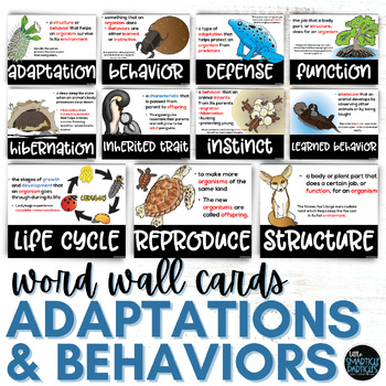 Preview of Adaptations and Behavior Science Vocabulary Word Wall Cards
