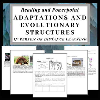 Preview of Adaptations and Evolutionary Structures: Reading and Powerpoint Mini lesson