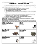 Adaptations and Natural Selection HW/Worksheet