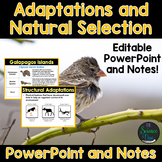 Adaptations and Natural Selection PowerPoint and Notes