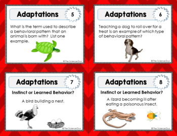 Adaptations and Natural Selection Task Cards by The Science Duo | TpT