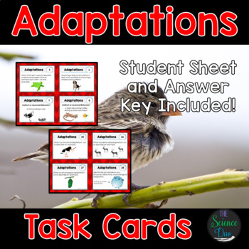 Preview of Adaptations and Natural Selection Task Cards