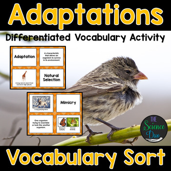 Preview of Adaptations and Natural Selection Vocabulary Sort