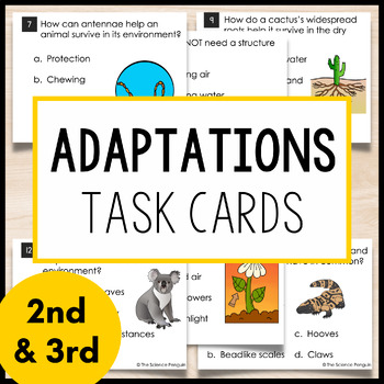 Preview of Plant and Animal Adaptations Task Cards | 2nd Grade 3rd Grade Animals in Groups