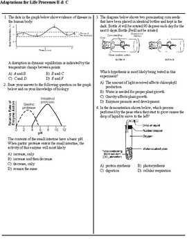 Preview of Adaptations for Life Processes NYS Regents  Parts B & C Questions